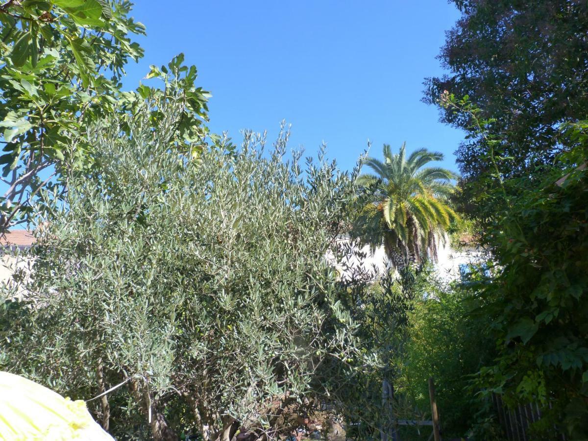 La Summer House Avec Jardin Arles Dış mekan fotoğraf