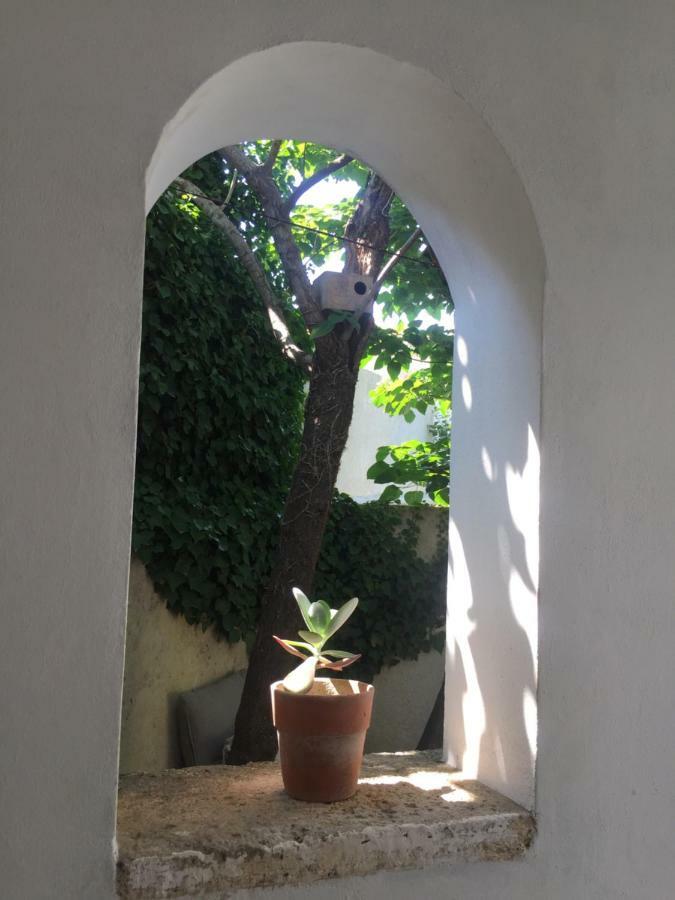 La Summer House Avec Jardin Arles Dış mekan fotoğraf